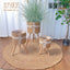 Nordic Woven Plant Stand Set with Wooden Legs  Round Wicker Planter Baskets for Indoor Living Room & Balcony