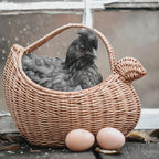 Handwoven Rattan Storage Basket  Nordic-Style Fruit, Vegetable & Daily Essentials Carry Basket