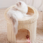 Breathable Woven Double-Layer Cat House with Cushion  All-Season Semi-Enclosed PP Rattan Pet Bed