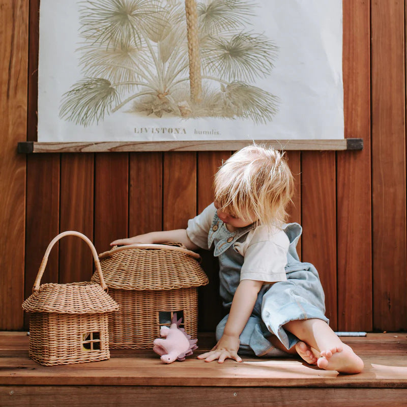 Handwoven Rattan House Basket  Kids' Toy Storage & Carry Bag, Decorative Wicker Mini Cottage Basket Main image