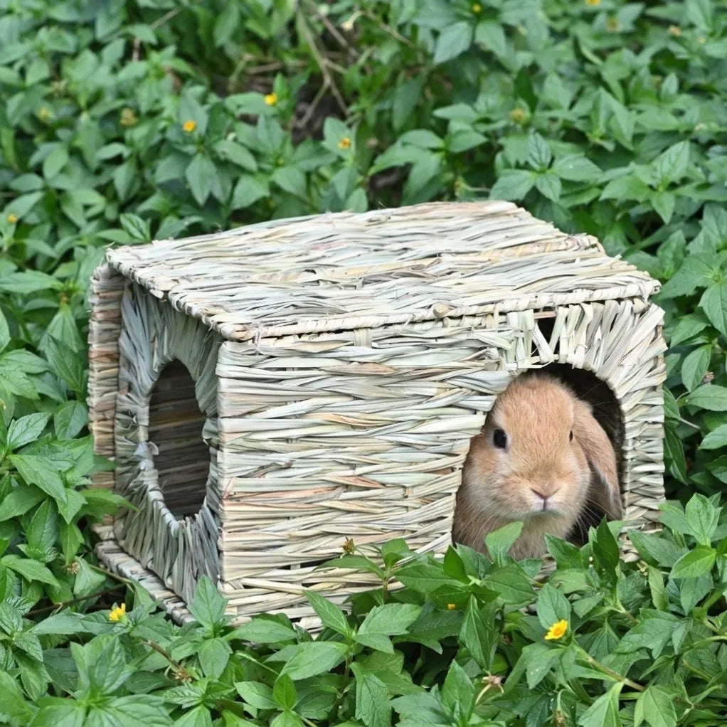 Grass Rabbit Hideout — Chew-Safe Handwoven Foldable Hut