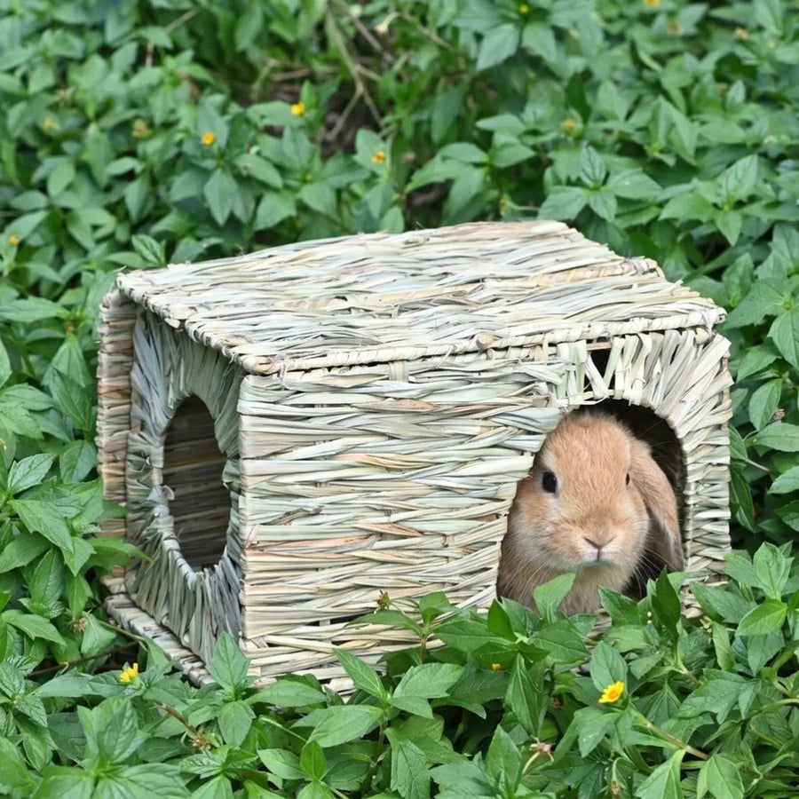 Grass Rabbit Hideout — Chew-Safe Handwoven Foldable Hut